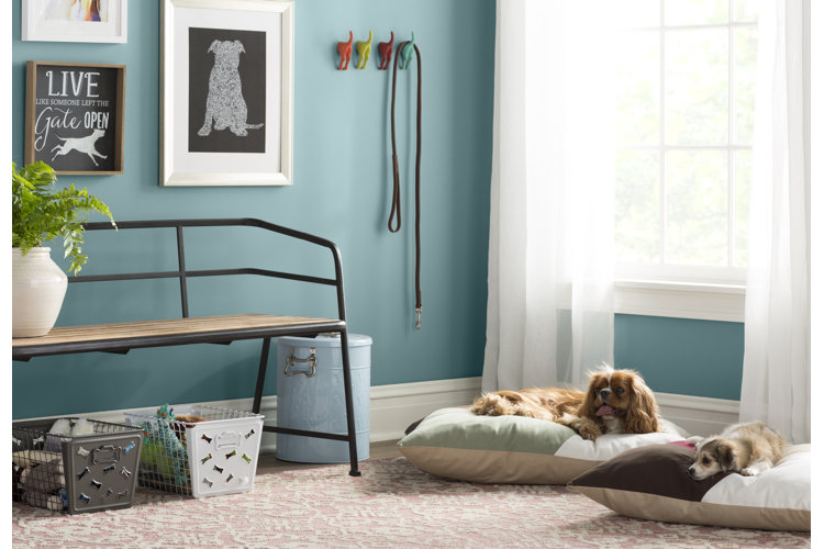 Dog Bed Sizes: Choosing the Right Bed Size for Your Dog | Wayfair